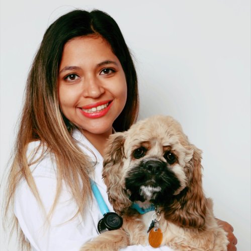 Dr. Carmen Huallanca